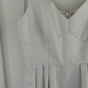 Cynthia Steffe Shimmery Sleeveless Dress